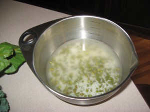 Rinsing the rice and mung beans #1